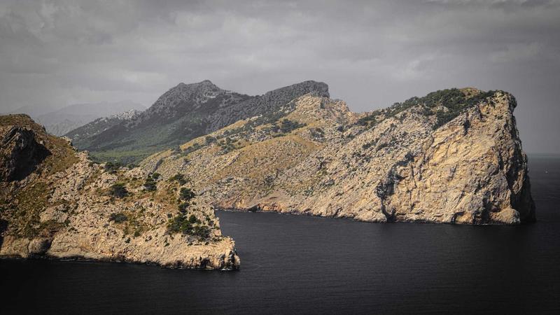 15-Minute Workout: 5 Effective Routines for Busy Professionals