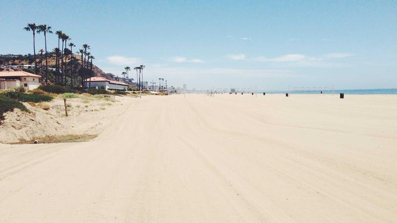 7 Essential Daily Habits for Success: A Practical Guide