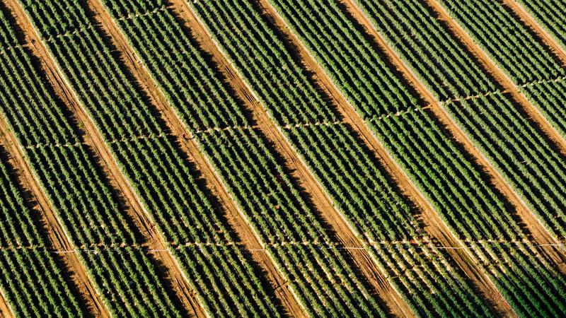 7 Essential Winter Car Care Tips to Keep You Safe on the Road