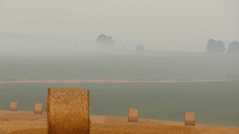 7 Best Apps to Block Distractions and Regain Your Focus in 2026