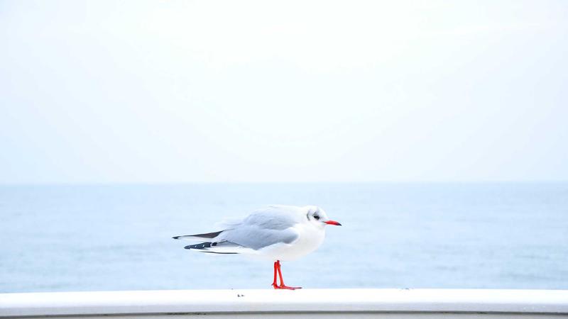 12 Cozy Home Ideas to Transform Your Space for Winter