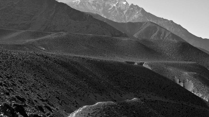 15 Genius DIY Alternatives to Save Money on Every Household Essential