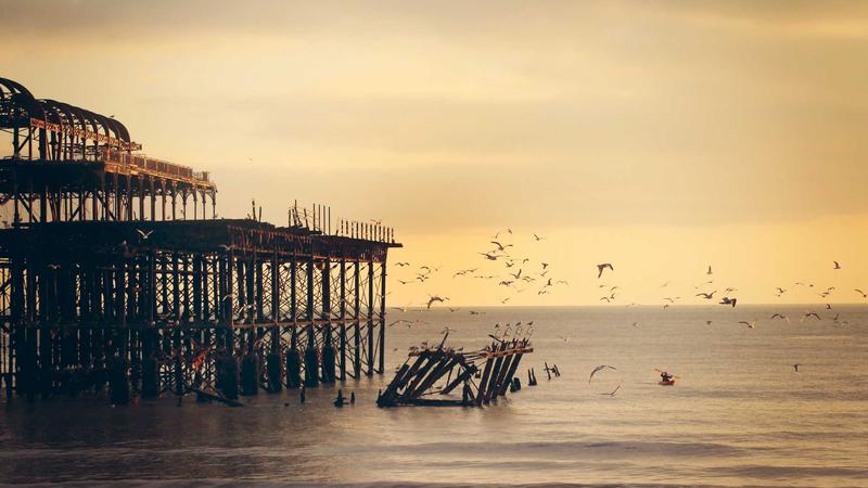 7 Easy DIY Garden Trellis Ideas to Boost Your Vertical Growth