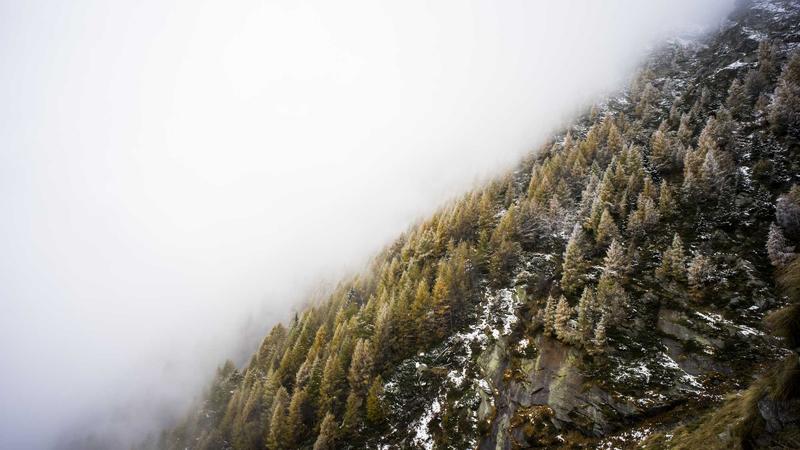 15 Essential Android Phone Tricks to Boost Your Productivity in 2026