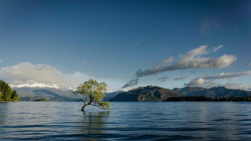 5 Proven Science-Backed Steps to Build a New Habit That Actually Sticks