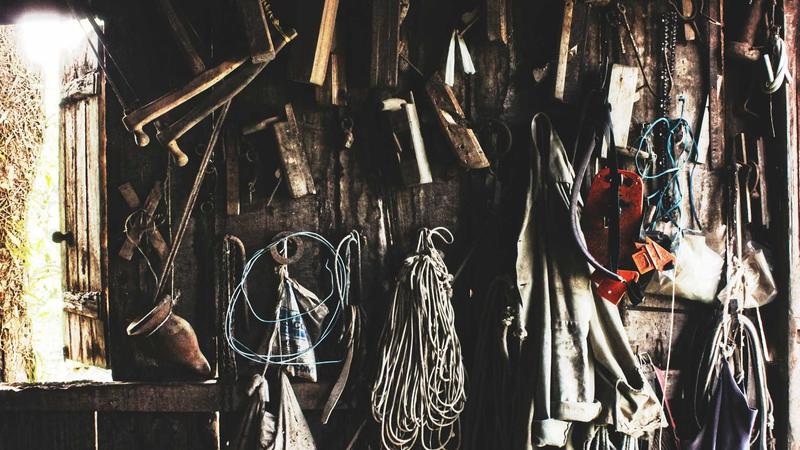 7 Proven Tips to Grow Massive Tomatoes in Pots This Summer