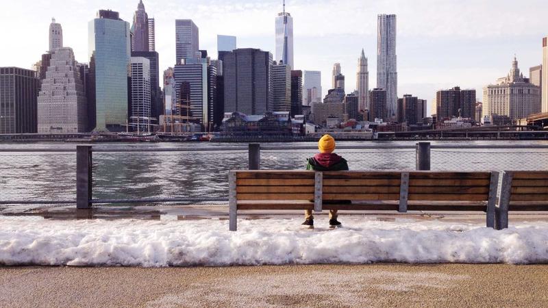 7 Proven Tips to Stop Your Dog From Barking at Everything