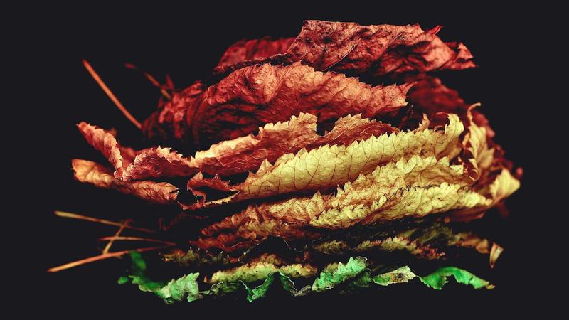 7 Proven Methods to Whiten White Clothes and Remove Yellow Stains