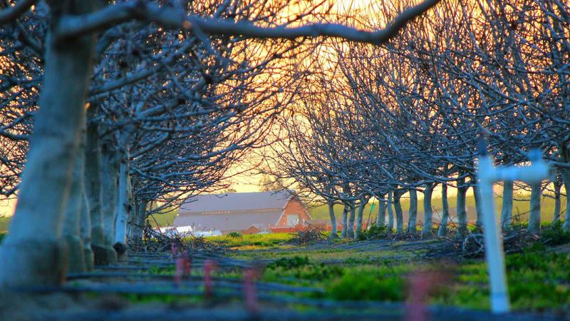 10 Essential Steps to Winterize Your Home and Slash Energy Bills