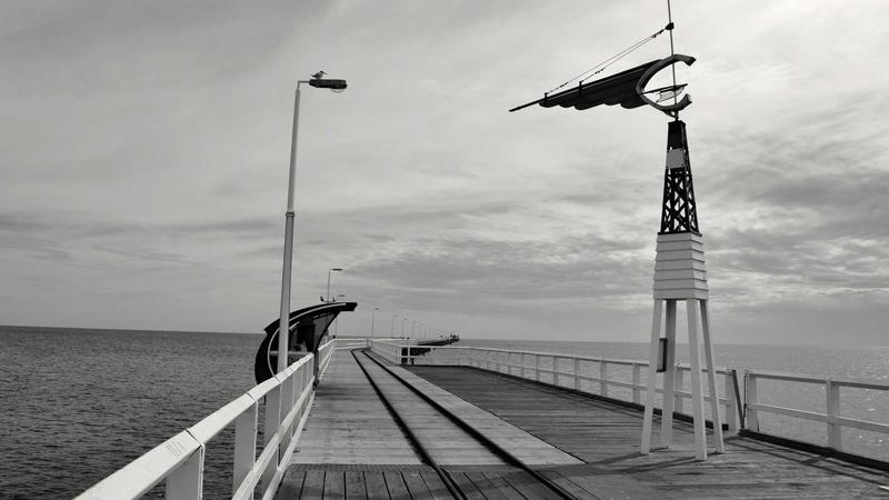 7 Essential Puppy Training Basics for a Well-Behaved Dog