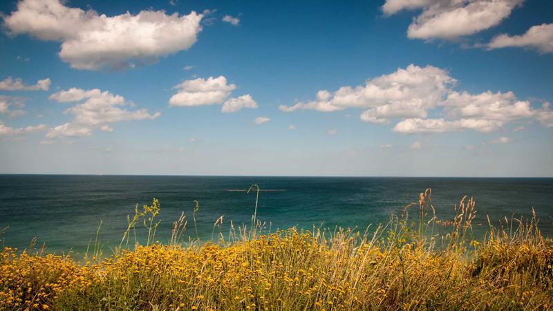 15 Essential Steps for a Room-by-Room Spring Cleaning Checklist