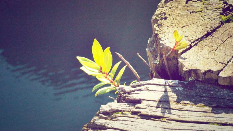 12 Brilliant Summer BBQ Tips and Tricks for a Stress-Free Cookout