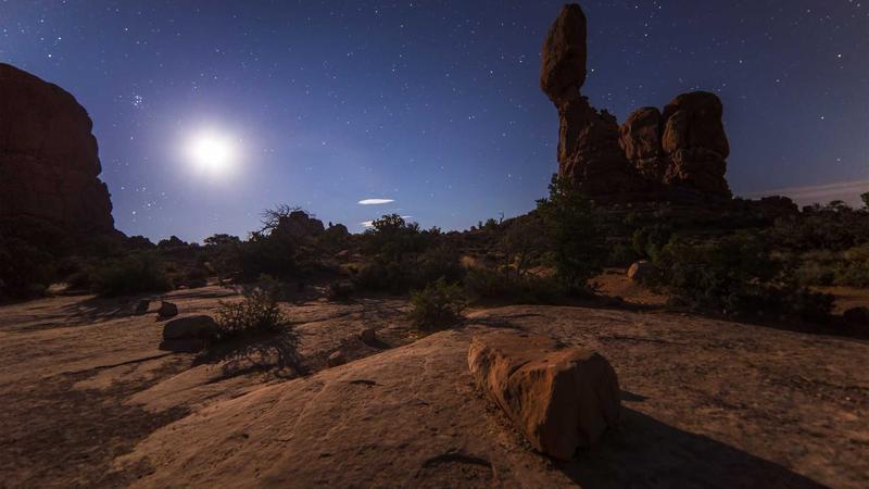 7 Creative Vertical Garden Ideas to Maximize Your Small Space